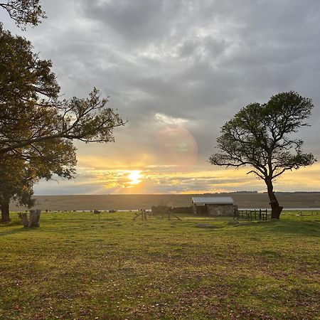 La Vista Farm Stay Ermelo Eksteriør billede