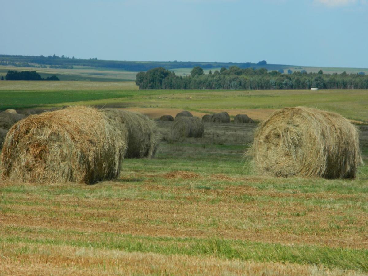 La Vista Farm Stay Ermelo Eksteriør billede