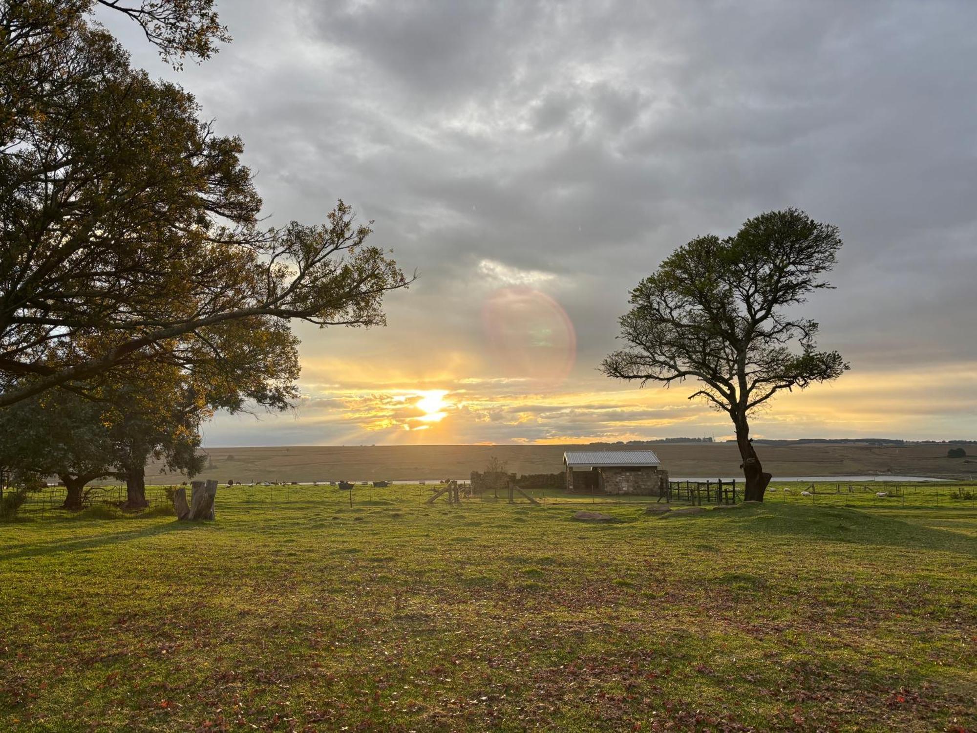 La Vista Farm Stay Ermelo Eksteriør billede
